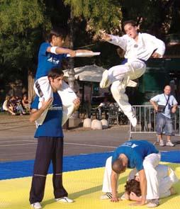  TAEKWONDO - Varie Taekwondo